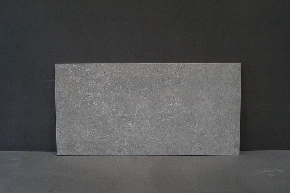 Rex Pietra del Nord – Grigio – Vloertegel – 40x80cm – Mat – 735321