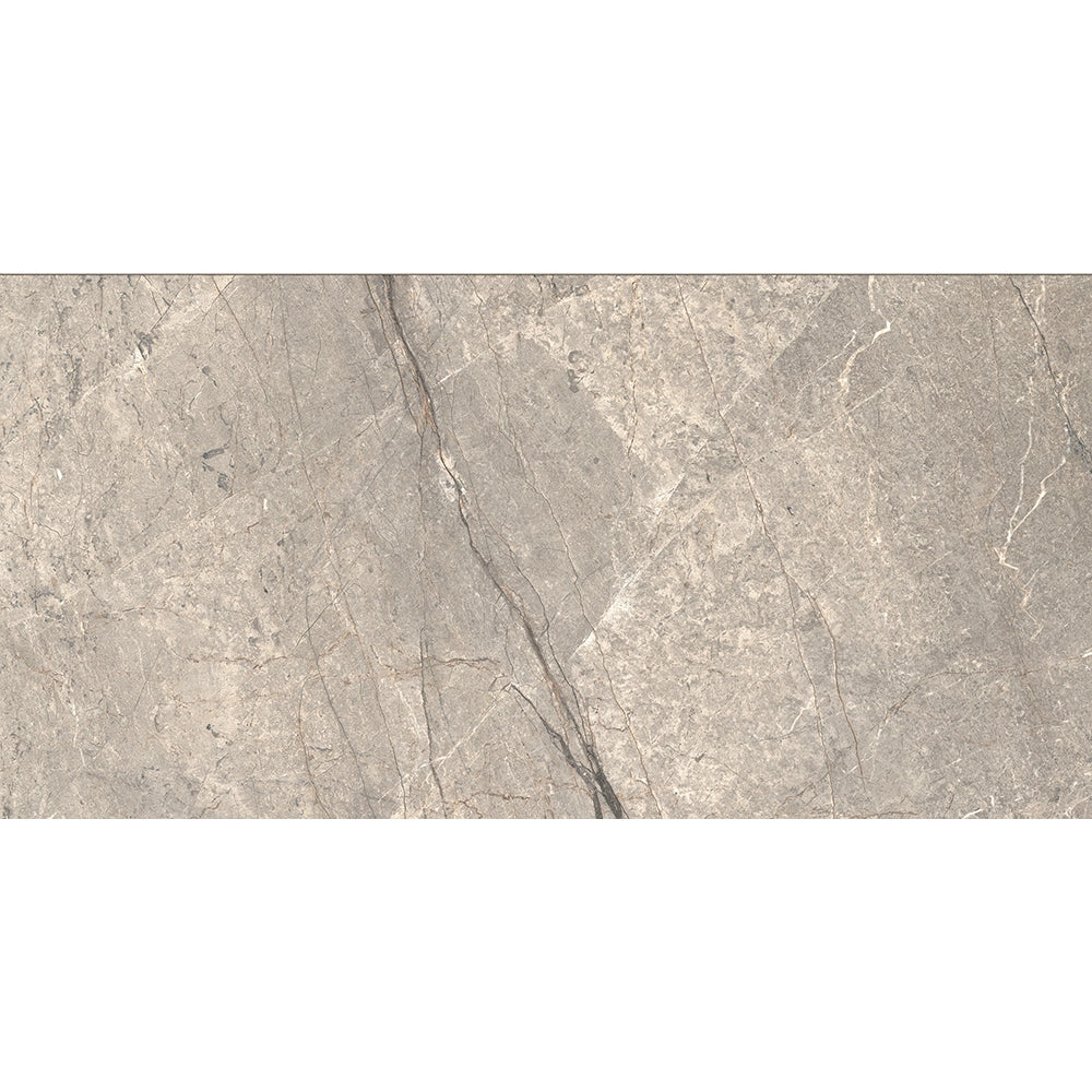 Caesar Anima Futura - Amazing Silver - Vloertegel - 60x120cm - Mat - AGB2