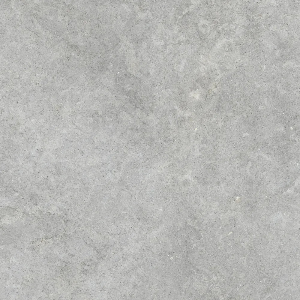 Betonlook – Vloertegel – Grijs – 100x100cm – Mat – R85RISI