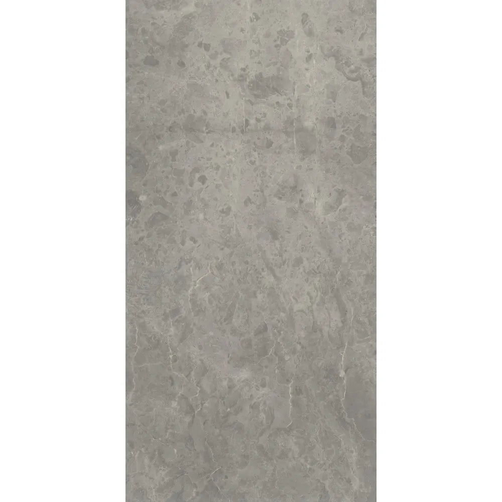 Betonlook – Vloertegel – Antraciet – 60x120cm – Mat – C05PORO