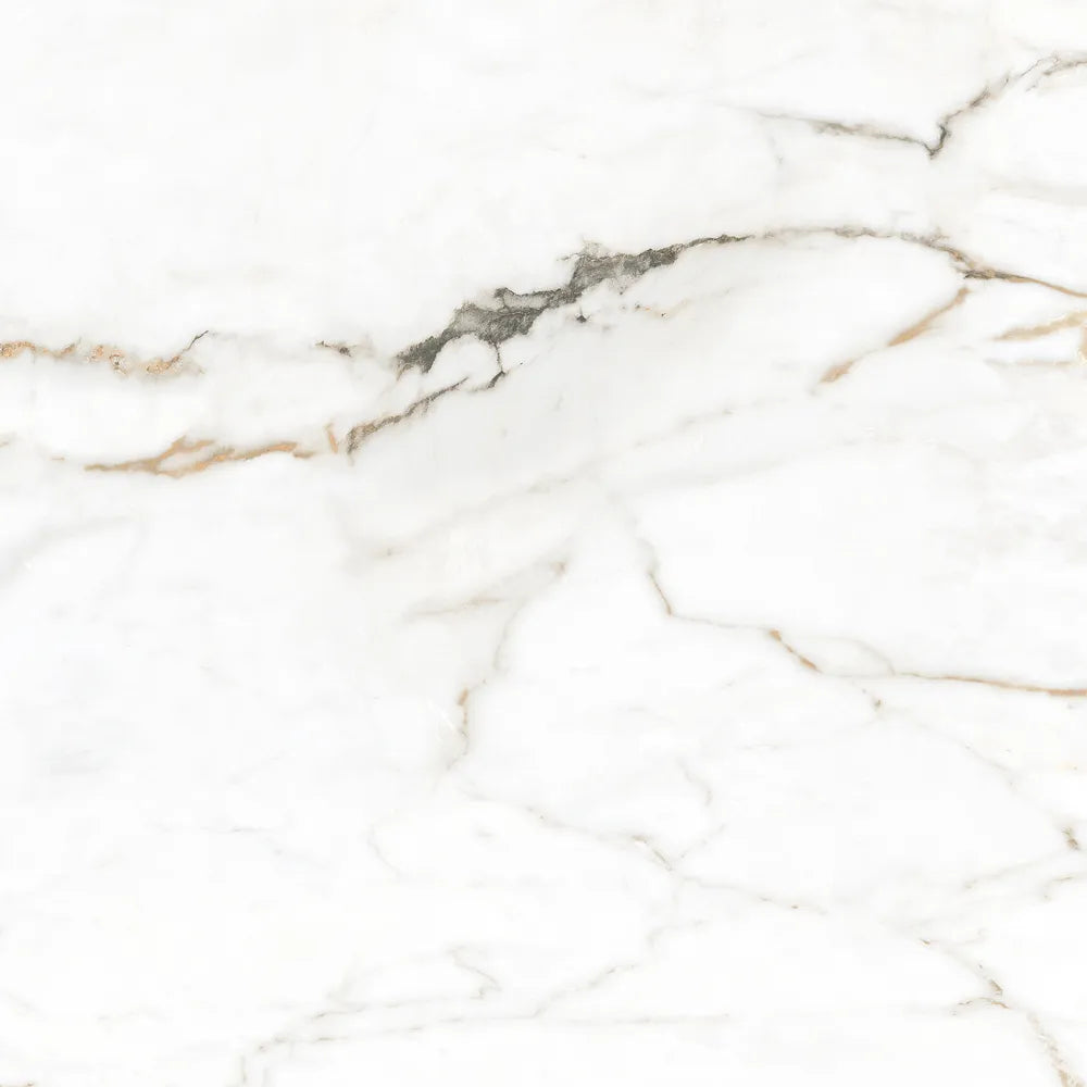 Marmerlook – Vloertegel – Wit – 60x60cm – Gepolijst – P10TDOG