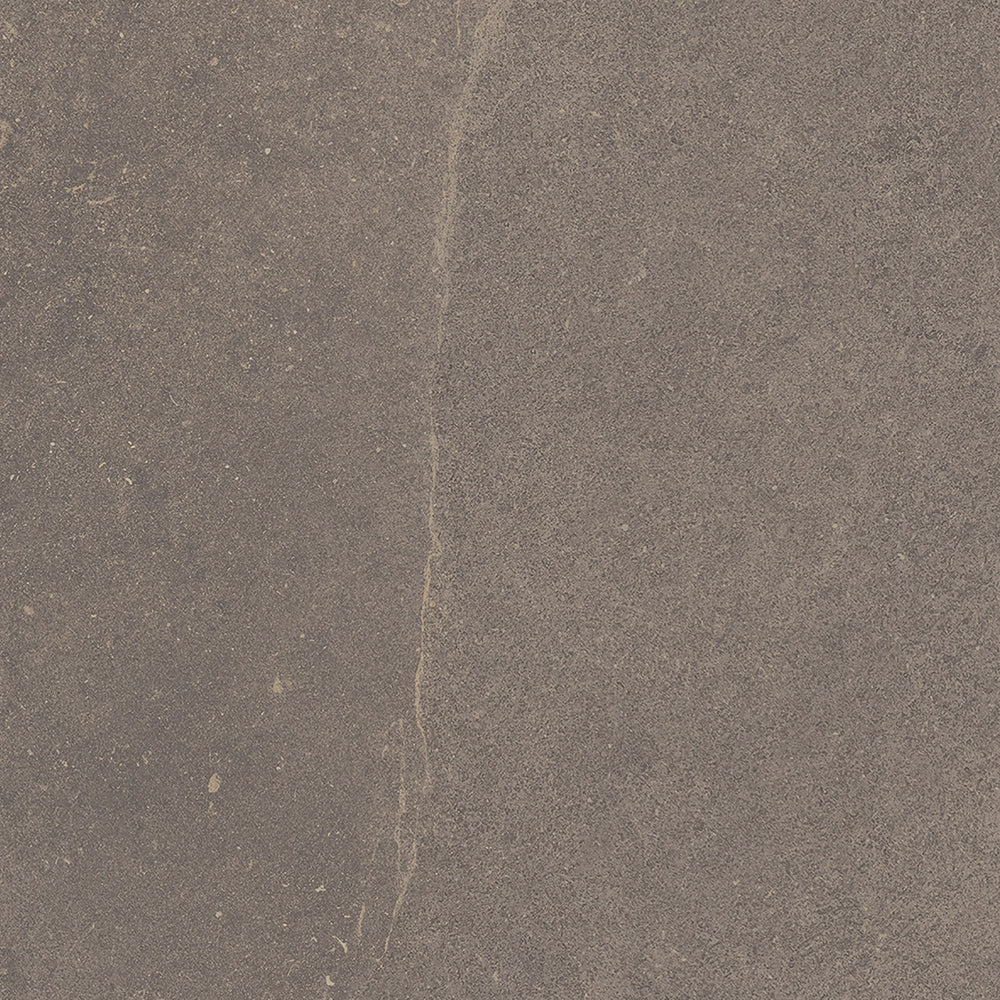 Natuursteenlook - Vloertegel - Grijs - 120x120cm - Mat - F50PLMA