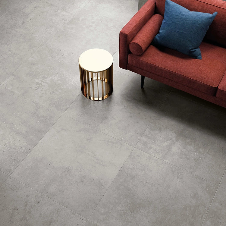 Betonlook - Vloertegel - Zilvergrijs - 80x80cm - Mat - F25HYSI