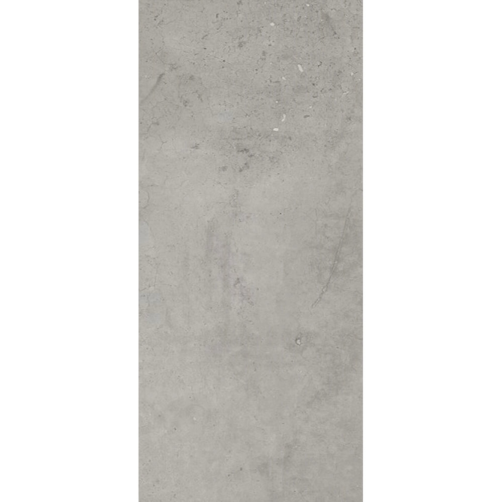 Betonlook - Vloertegel - Zilvergrijs - 120x280cm - Mat - F25HYSI