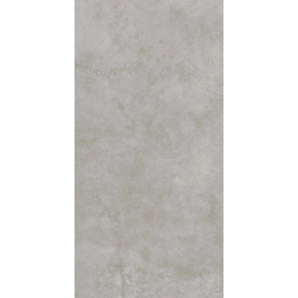 Betonlook - Vloertegel - Zilvergrijs - 160x320cm - Mat - F25HYSI
