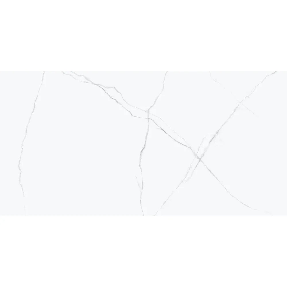 Pamesa Acquilea – Grigio – Vloertegel – 60x120cm – Mat